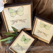Verdant Edge Frames (Dark Brown Minimalist Border with Butterfly Insert)