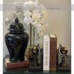 Globe Bookends