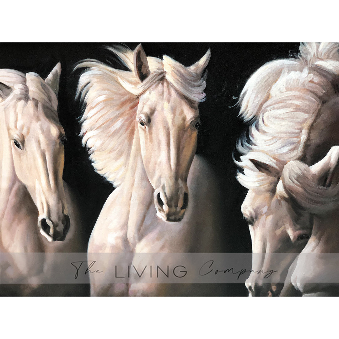 Stallions in the Wild