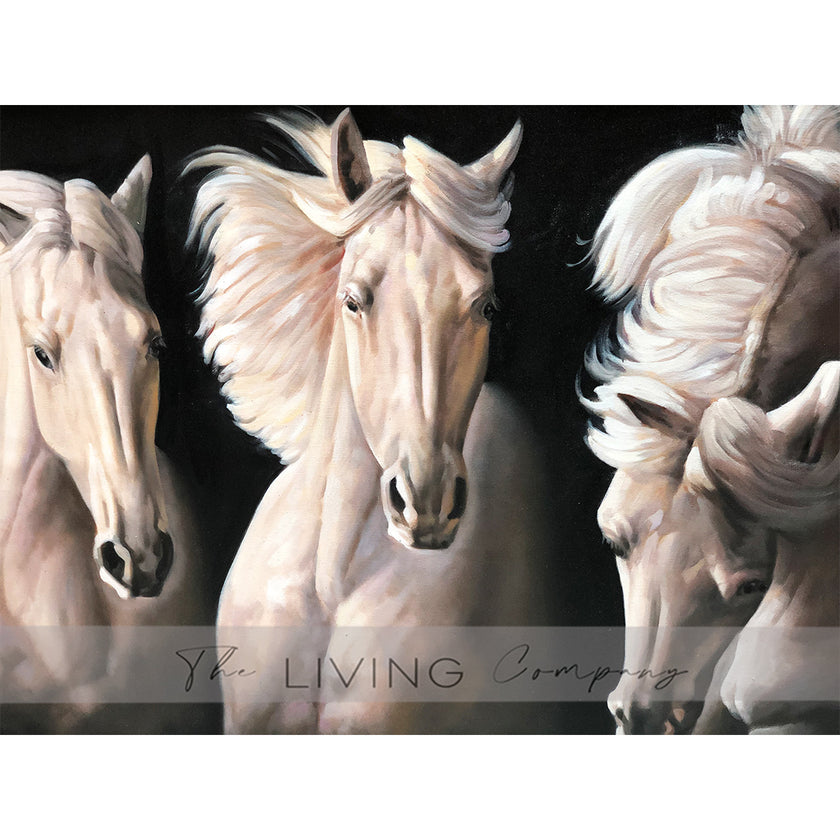 Stallions in the Wild