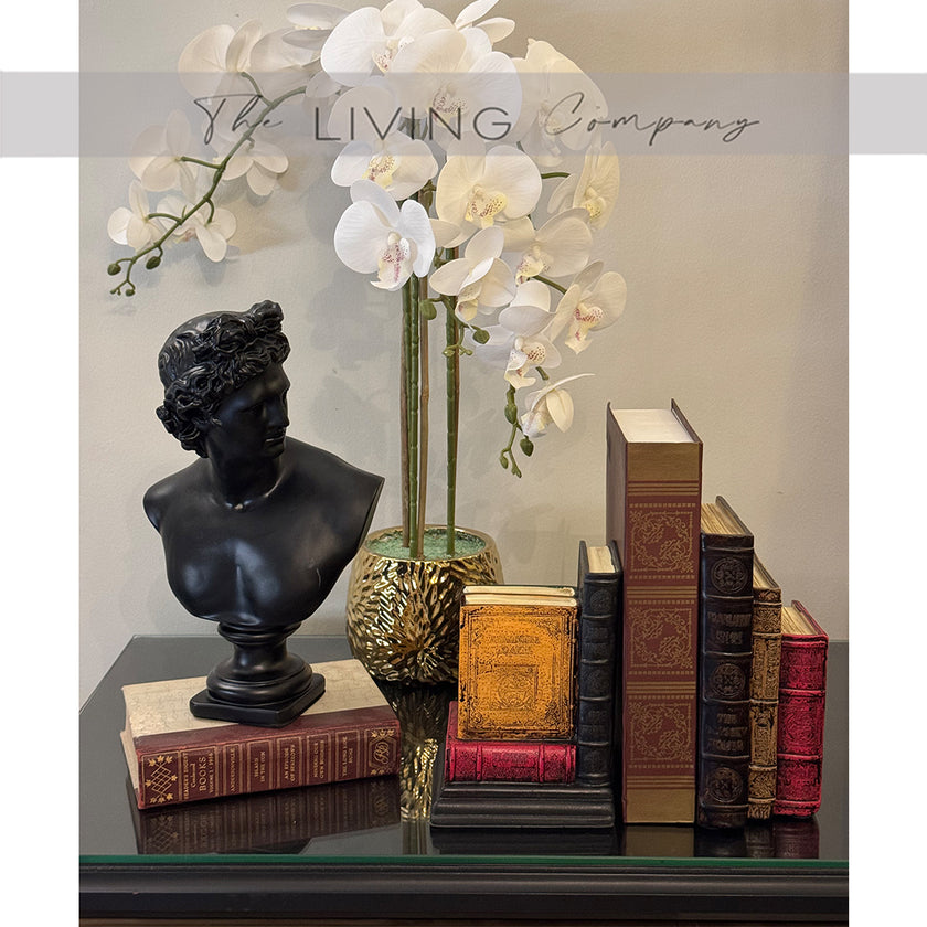 Library Bookends