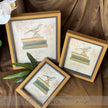 Avian Noir Frames (Bird Printed, Dark Brown)